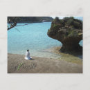 Search for okinawa postcards Nature
