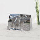 Search for funny goat cards Couple