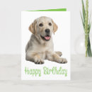 Search for puppy cards Labrador retriever
