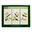 Search for hummingbird gifts tropical
