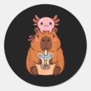 Search for capybara stickers Cool