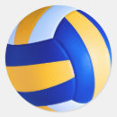 Search for volleyball stickers Player