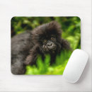 Search for gorilla mousepads Rainforest