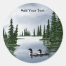 Search for loon stickers Birds