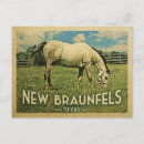 Search for horse postcards Texas