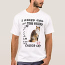 Search for calico kitten clothing Cute