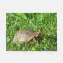 Search for turtle doormats Nature