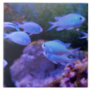 Search for blue fish tiles Nautical