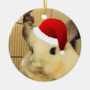 Search for chinchilla ornaments Adorable