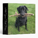 Search for love binders Black