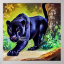 Search for black panther animal posters Cat
