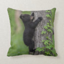 Search for great smoky mountains national park pillows danita delimont