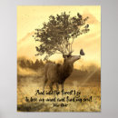 Search for john muir quote posters Forest