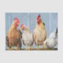 Search for chicken tissue paper Cute