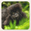 Search for cute coasters Forest