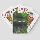 Search for turtle playing cards Nature