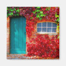 Search for fall leaf magnets Leaves