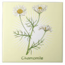 Search for herb tiles Farmhouse