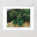 Search for john singer sargent postcards Flowers
