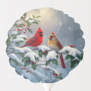 Search for red cardinal balloons Winter