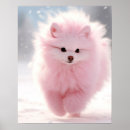 Search for pomeranian gifts Puppies