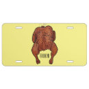 Search for chicken license plates Food