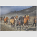 Search for horse tissue paper Animal