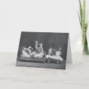 Search for vintage get well cards Cats