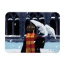 Search for harry potter magnets Hogwarts school