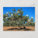 Search for tree postcards Funny