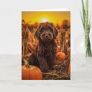 Search for labradoodle cards Pet