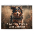 Search for pet calendars Kitten