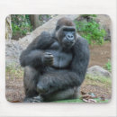 Search for gorilla mousepads Wildlife