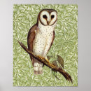 Search for vintage bird posters Owl