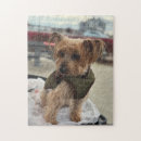 Search for yorkie puzzles Jigsaw