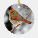 Search for red cardinal bird ornaments Nature
