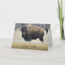 Search for bison birthday cards Nature