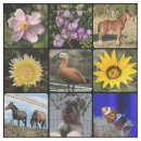 Search for photo quilt squares Pattern