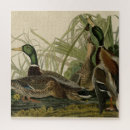 Search for mallard duck puzzles Audubon
