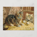 Search for victorian cat postcards Kitten