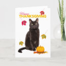 Search for happy thanksgiving cards Pumpkin