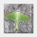 Search for luna moth gifts Green