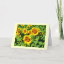Search for sunflower holiday cards Beautiful