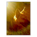 Search for dog sympathy cards thinking of you