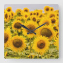 Search for black white sunflower art Summer