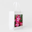 Search for reusable bags Create your own