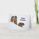 Search for squirrel birthday cards Wildlife