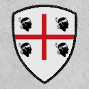 Search for flag patches Modern