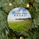 Search for kauai ornaments Hawaii