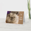 Search for funny bunny birthday cards Photography